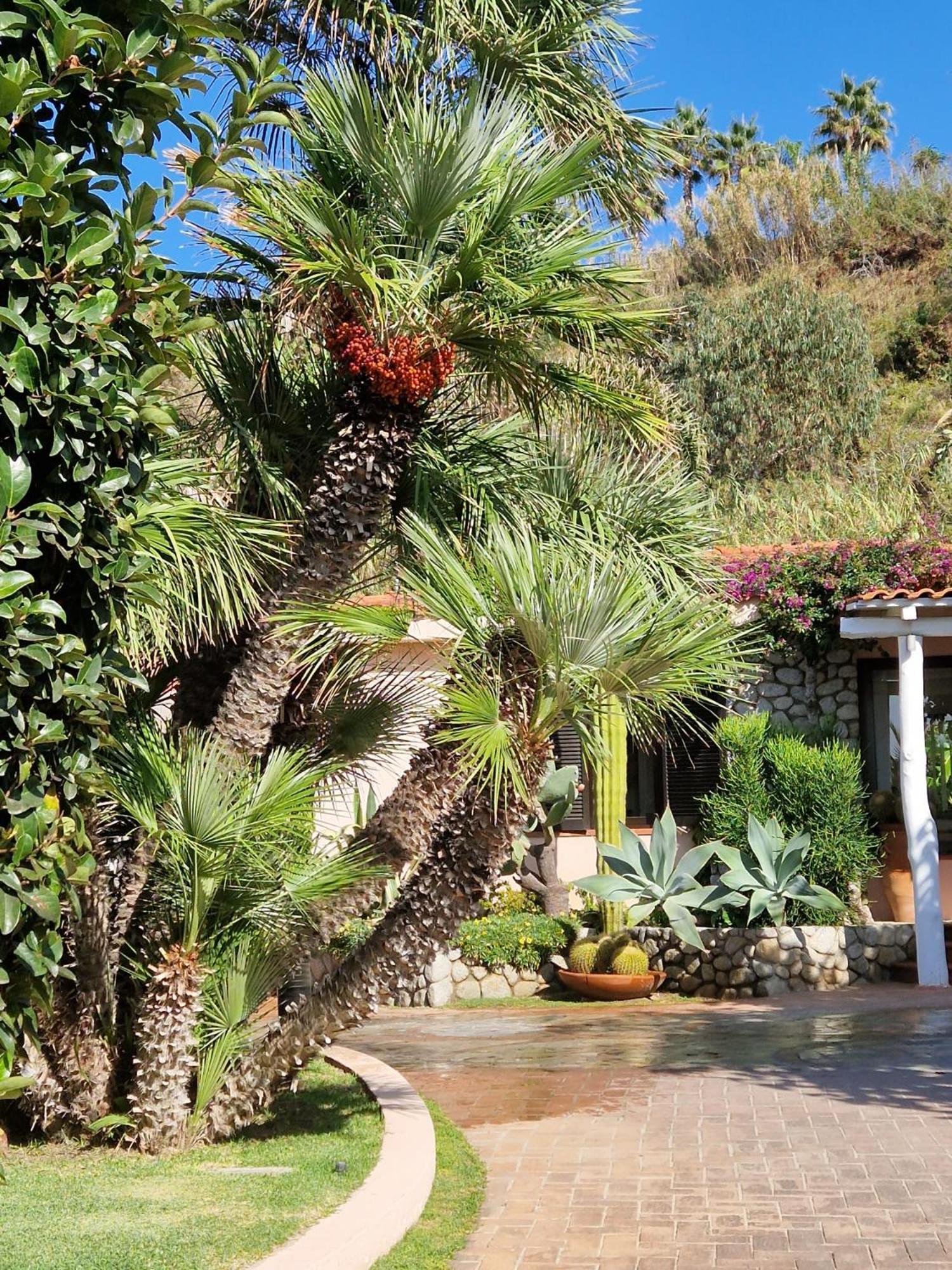 Hotel Villaggio Cala Di Volpe Capo Vaticano Luaran gambar