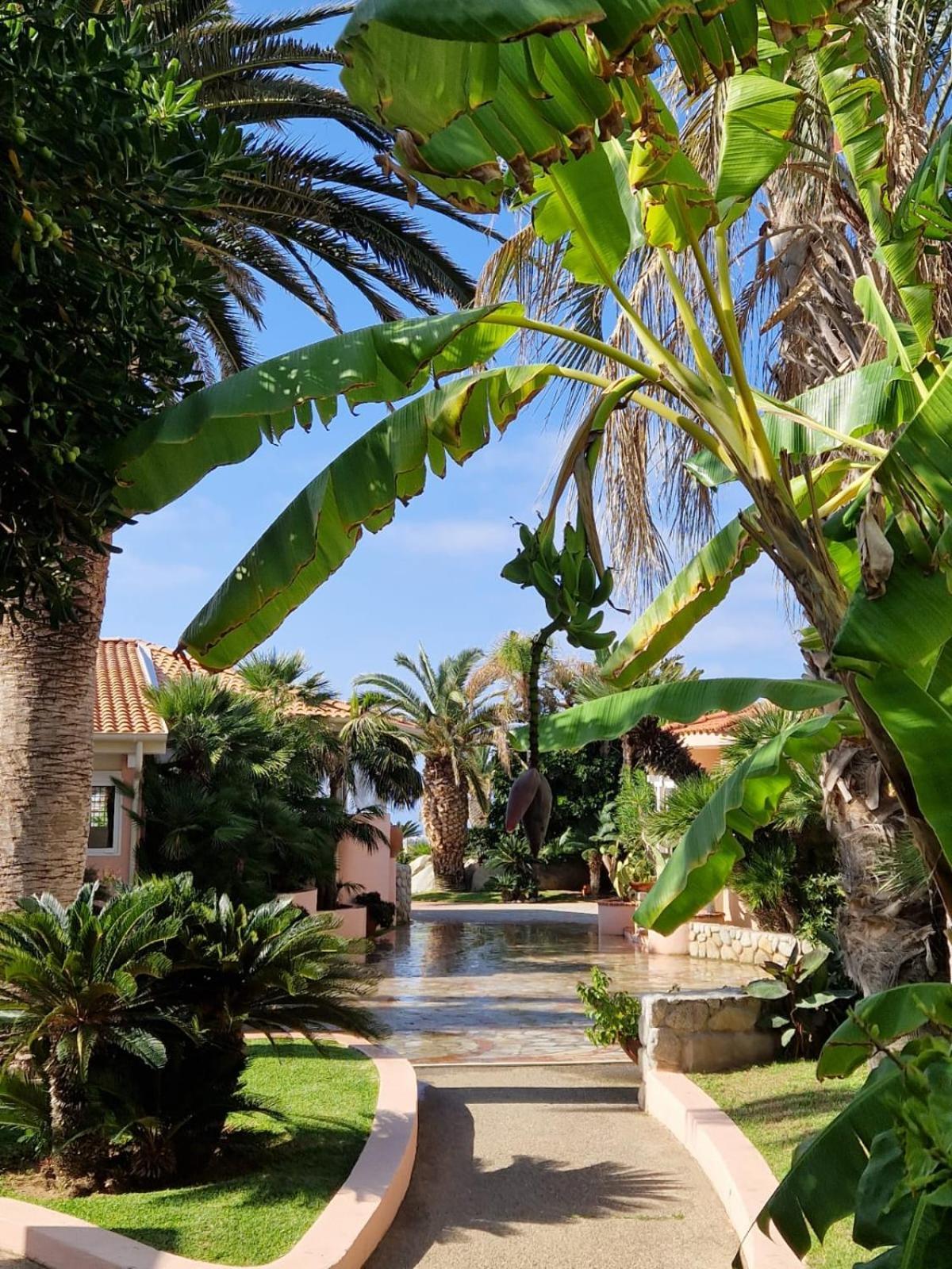 Hotel Villaggio Cala Di Volpe Capo Vaticano Luaran gambar
